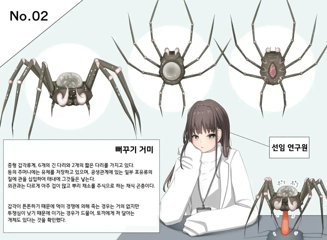 Insect Research Report